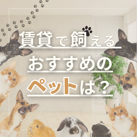 リッチメッセ(4)