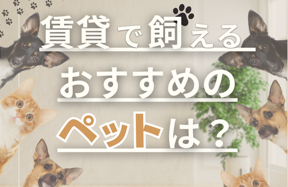 賃貸で飼えるおすすめのペットは？
