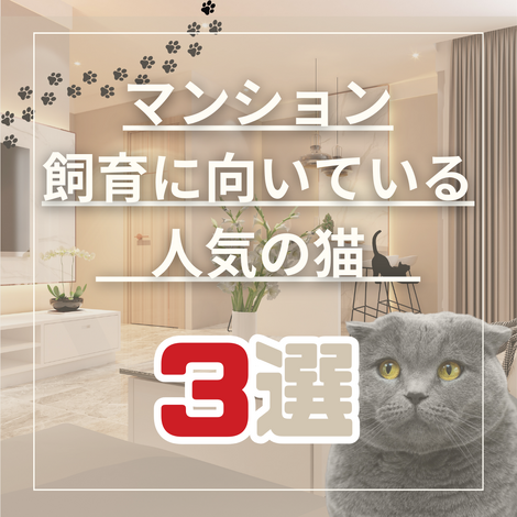 リッチメッセ2(1)