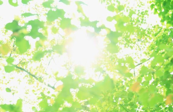 「築浅だから安心」は本当？